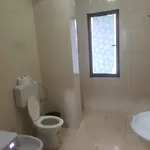 Split Rock Hostel Tirana